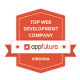 Top web development award